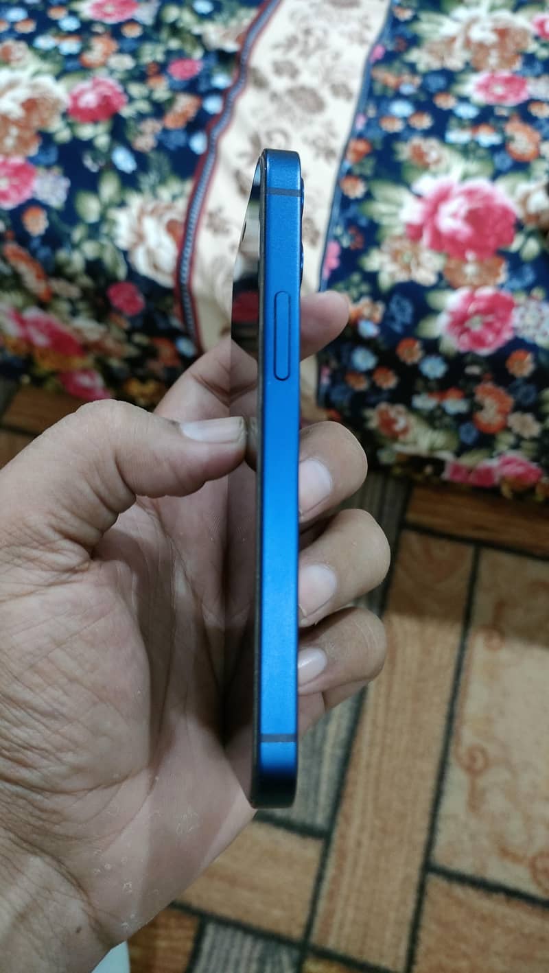 Apple iPhone 12 mini 12