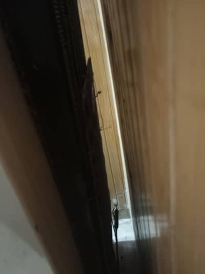 fridge best cooling