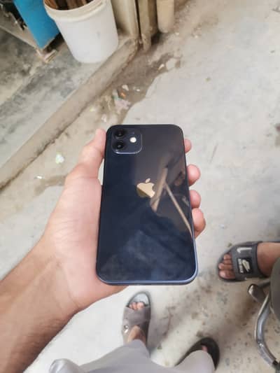 Apple iPhone 12