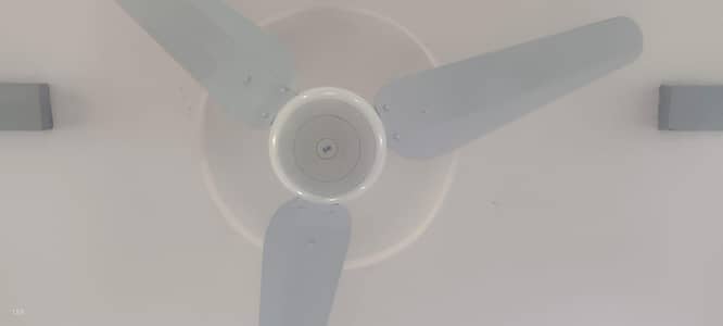 Sk brand new fan for sale urgent!!!!