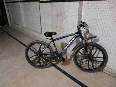 adult bicycle