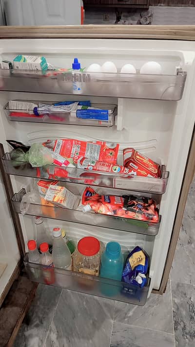 Fridge with freezer working