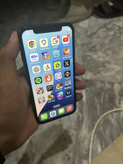 Apple iPhone XS 256GB Factory Unlock Exchange possible