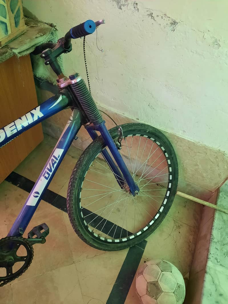 bicycle 2