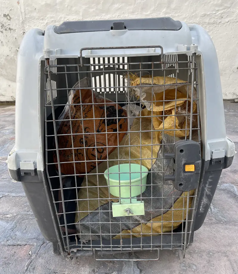  SKUDO Imported Jet Box / Pet Cargo Carrier — For Sale — photo 2