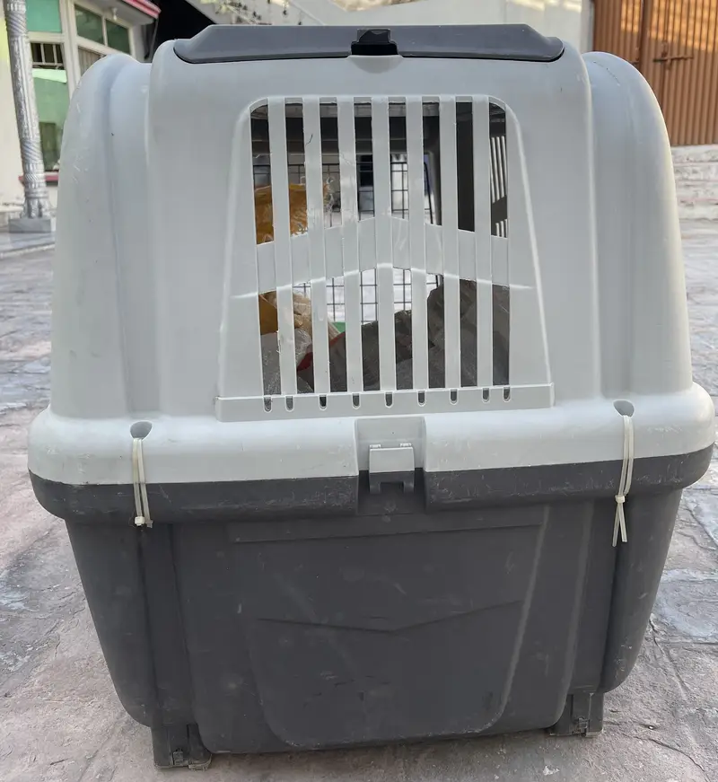  SKUDO Imported Jet Box / Pet Cargo Carrier — For Sale — photo 3