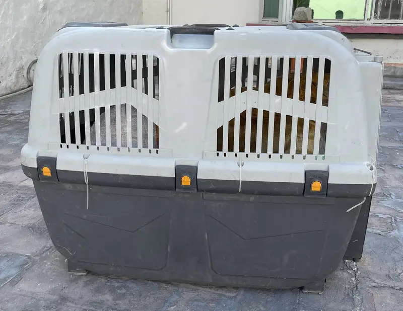  SKUDO Imported Jet Box / Pet Cargo Carrier — For Sale — photo 5