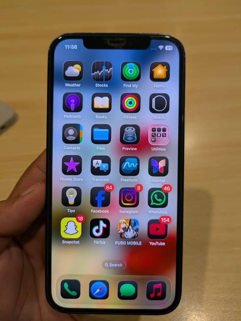 Apple iPhone 12 1