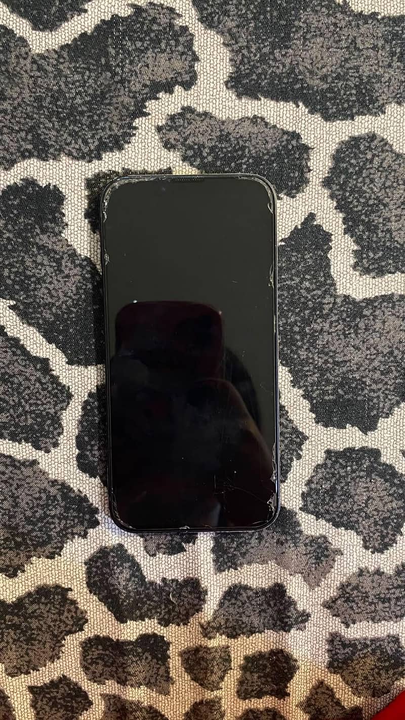 Apple iPhone 13 0