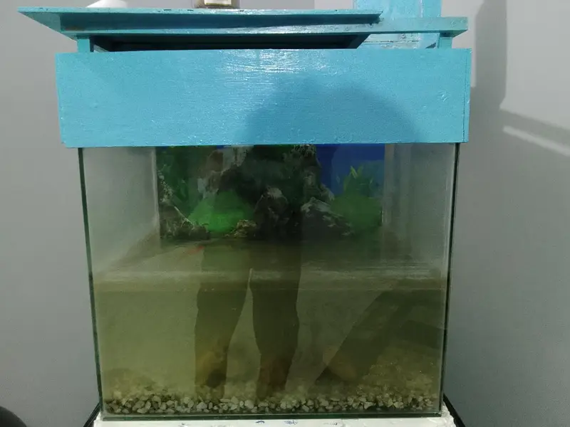 fish for sell — photo 4