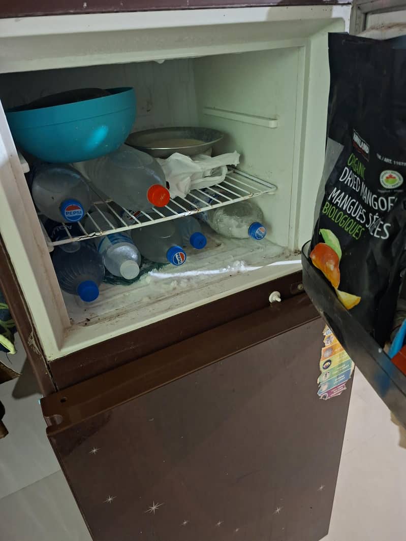 waves Refrigerator 2