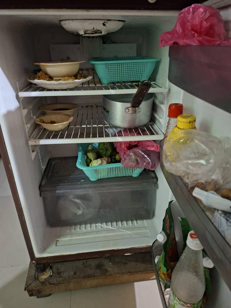 waves Refrigerator 3