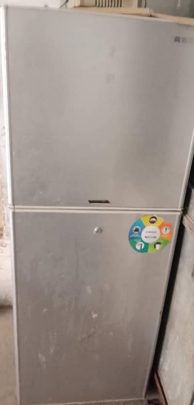 waves fridge