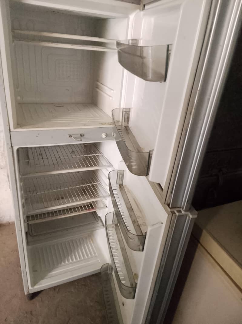 waves fridge 1