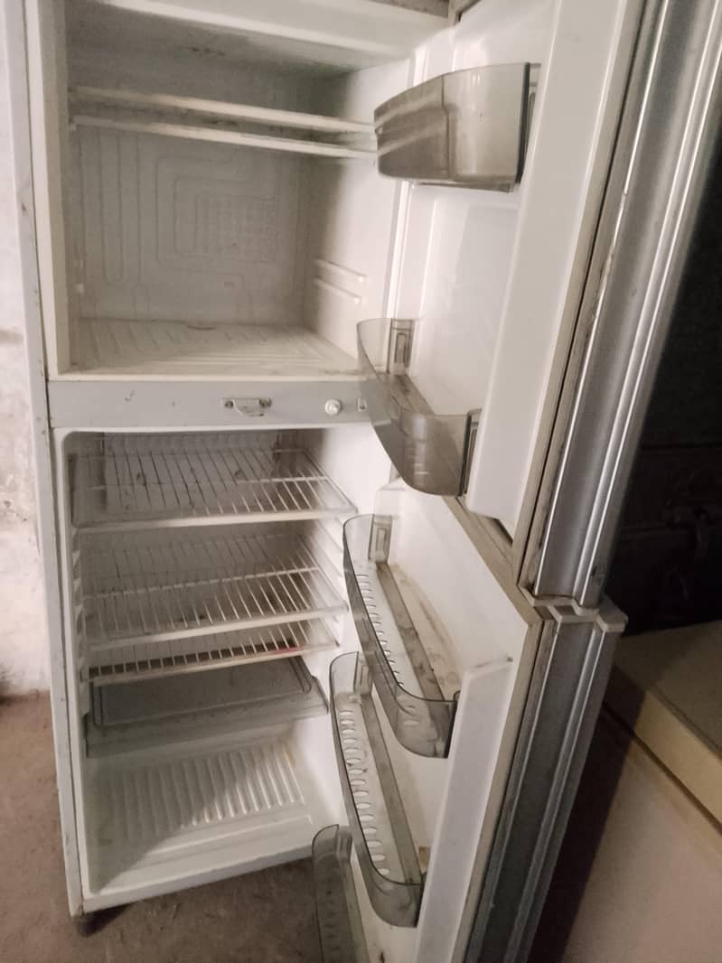 waves fridge 2