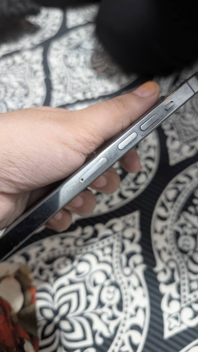 Apple iPhone 13 Pro Max 1