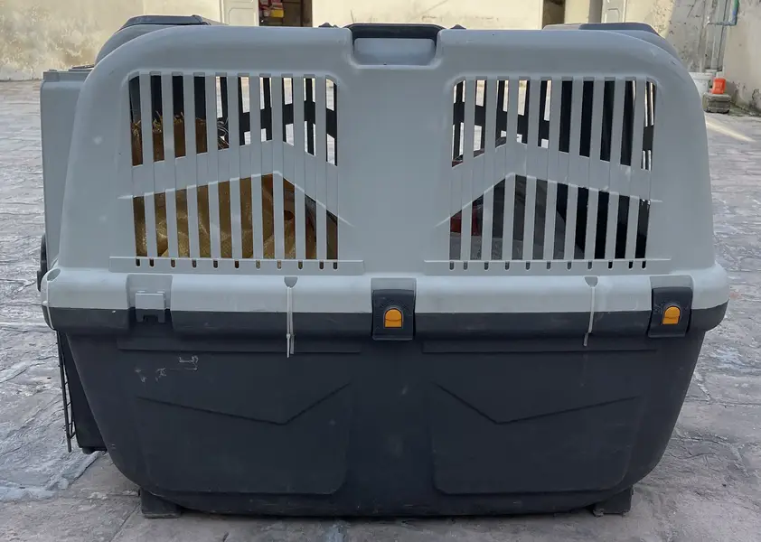  SKUDO Imported Jet Box / Pet Cargo Carrier For Sale — photo 5