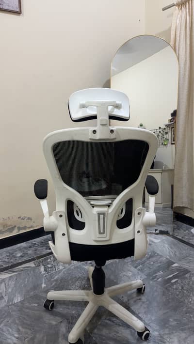 Ergonomic office/gaming chair
