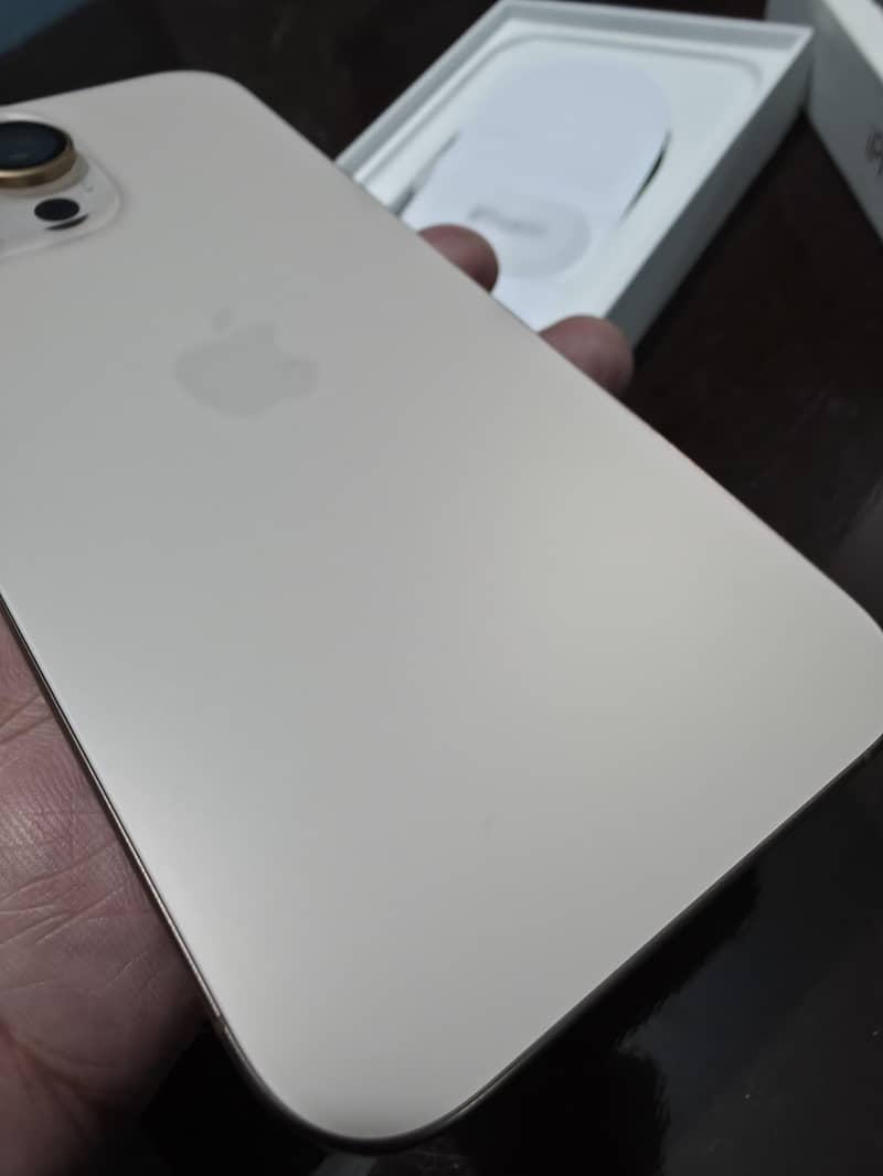 Apple iPhone 16 Pro Max 10