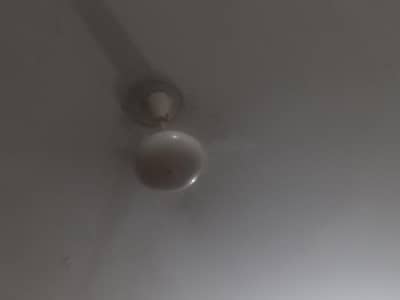 SK FAN