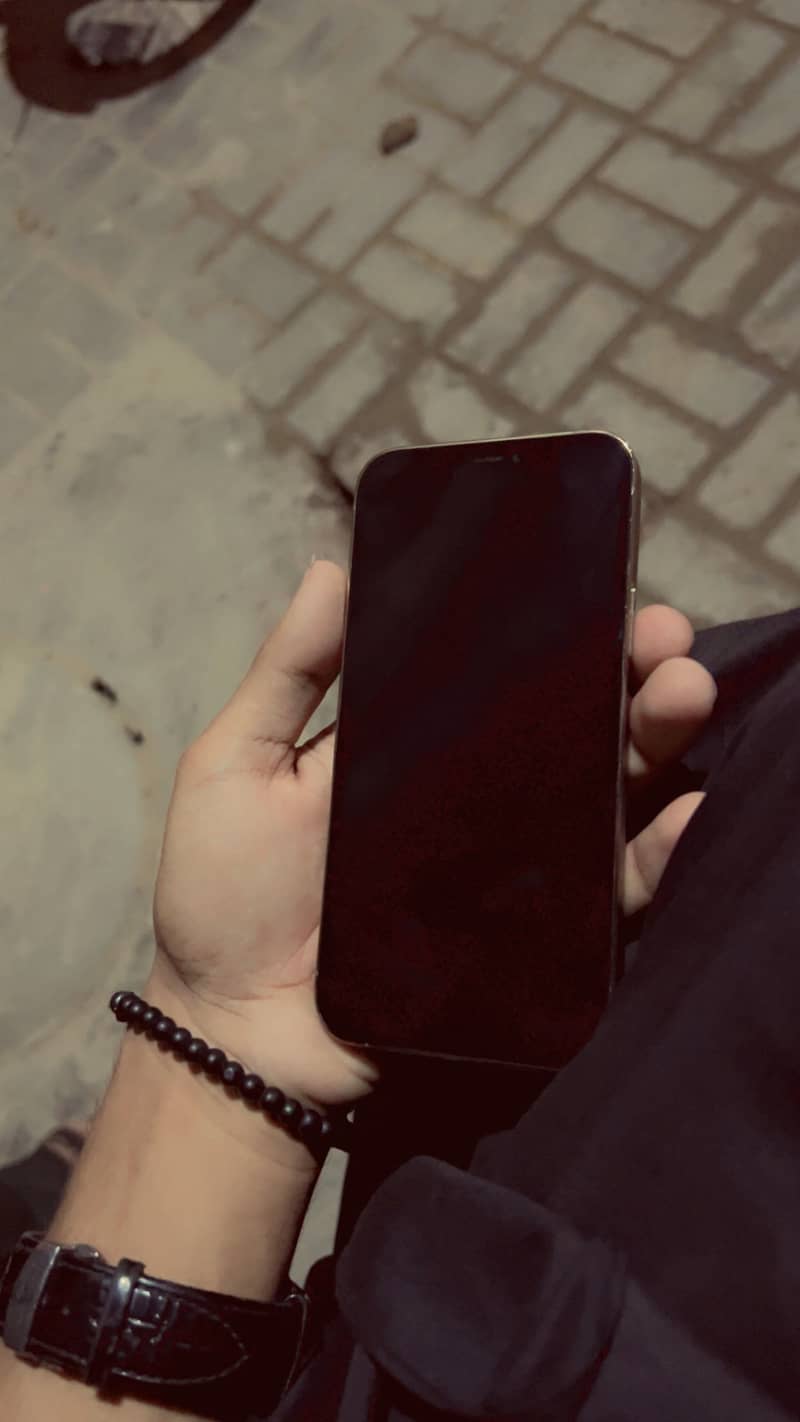 Apple iPhone 12 Pro 1