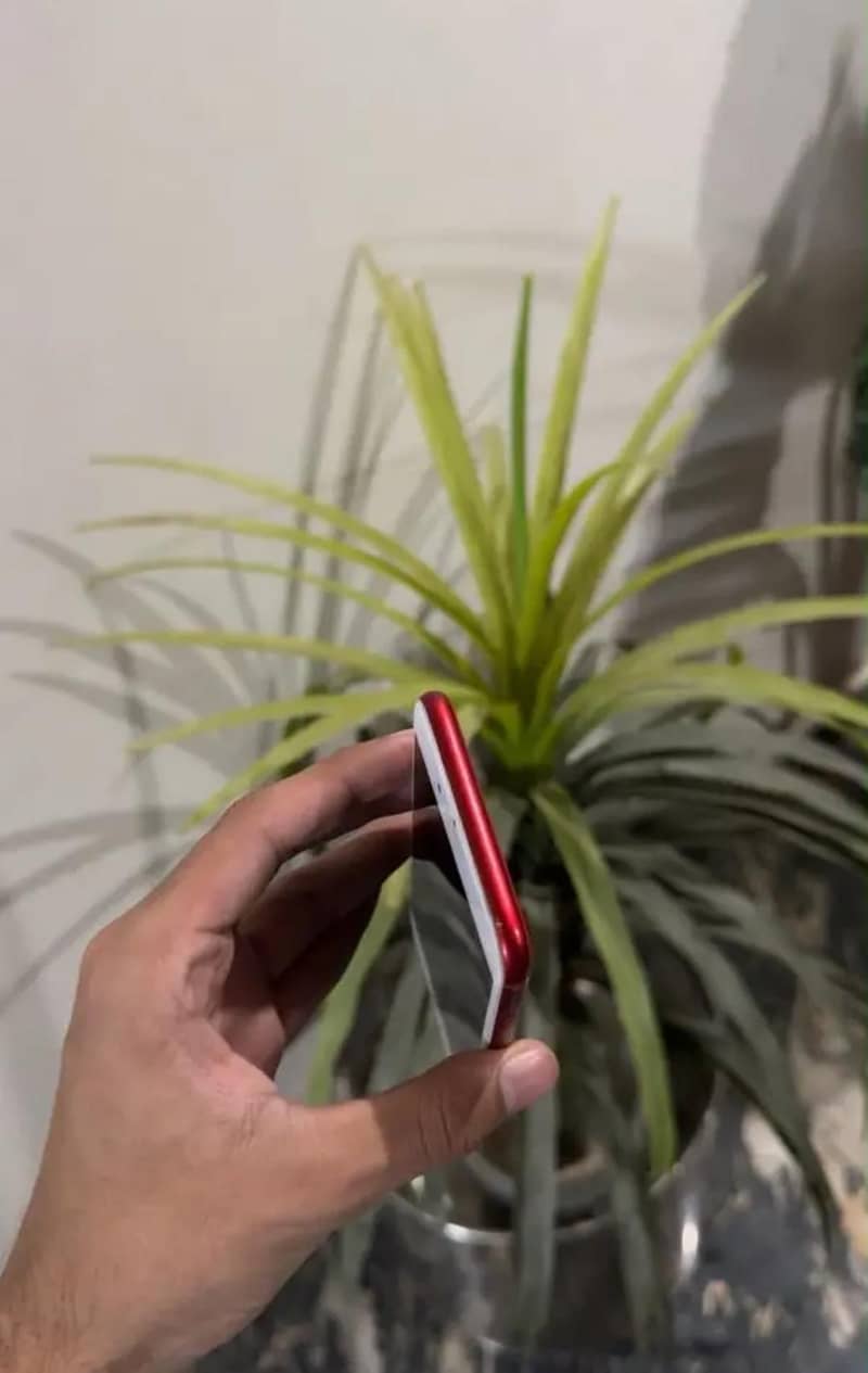 Apple iPhone 7 5