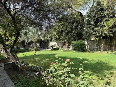 3 KANAL HOUSE FOR RENT IN GULBERG
