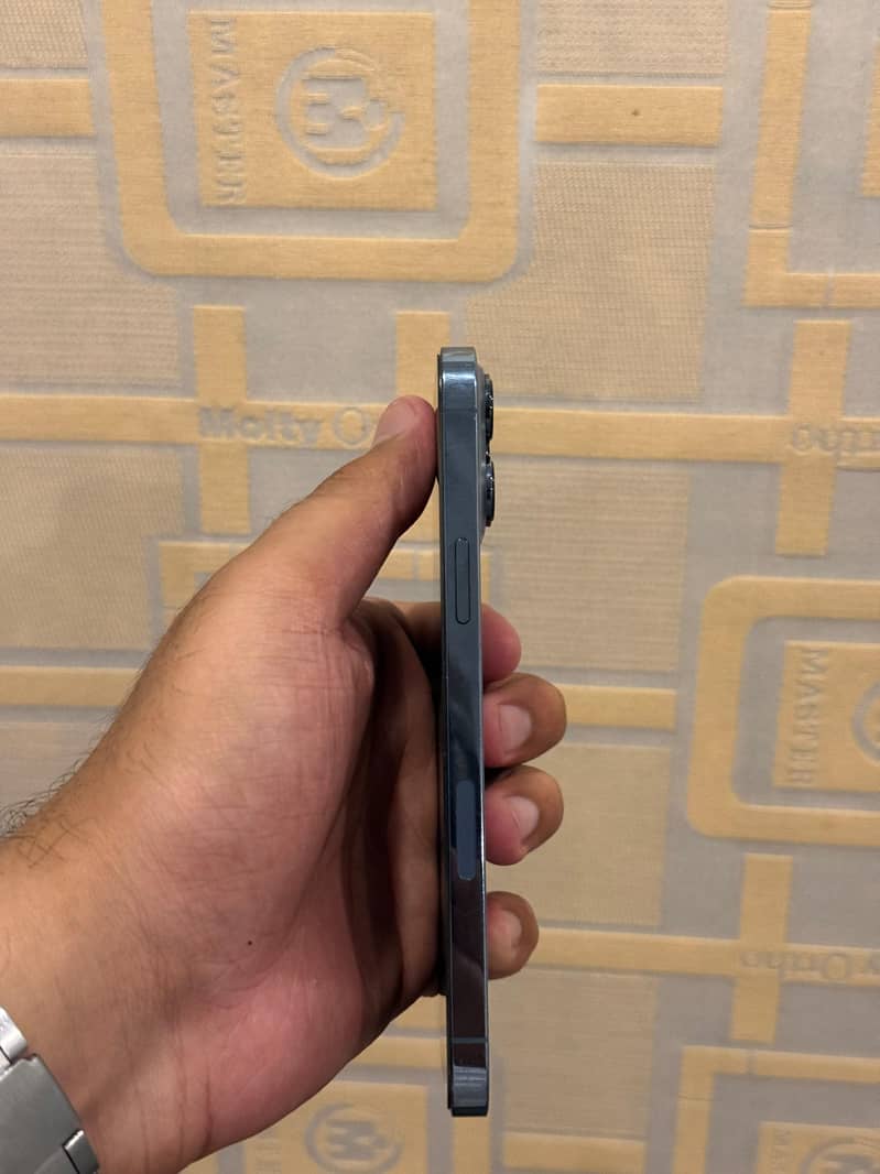 Apple iPhone 13 Pro Max 1