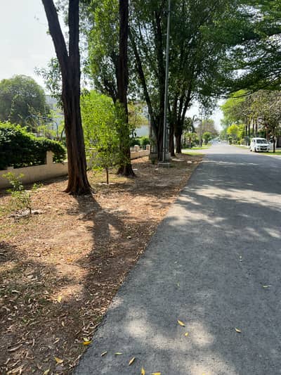 Corner 21 Marla Sector B Prime Location Between Modern Houses Walking Distance from Park Commercial Area & Masjid