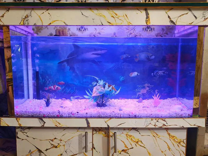 new Aquarium for sale — photo 3