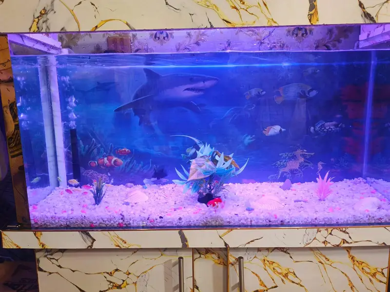 new Aquarium for sale — photo 4