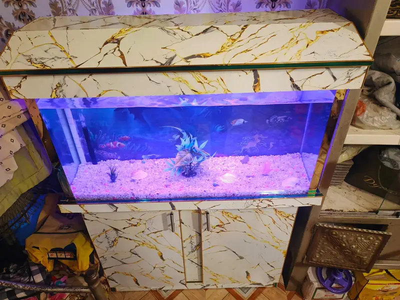 new Aquarium for sale — photo 5