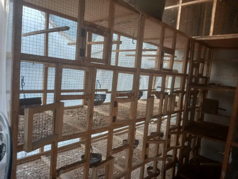 New wooden cages 10 potion — photo 5
