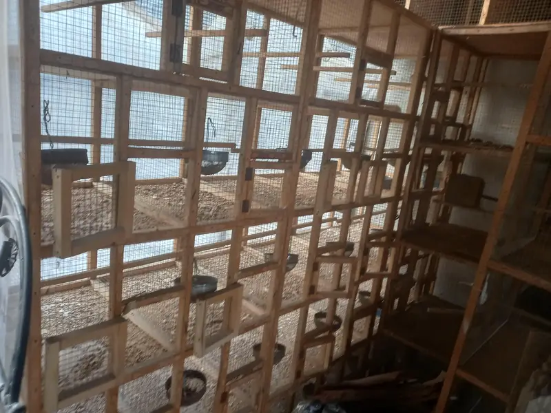 New wooden cages 10 potion — photo 6