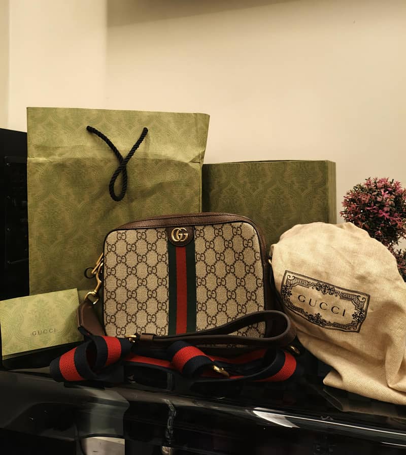 Gucci Bag 1