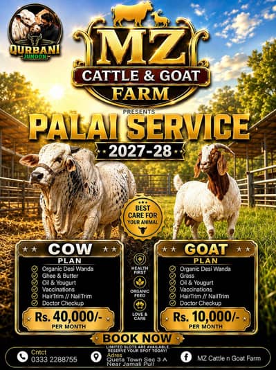 cow for sale and palai