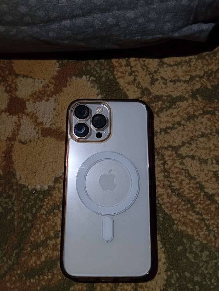 Apple iPhone 13 Pro Max 1