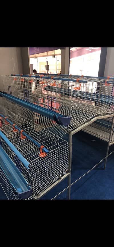 Layer Hen cage