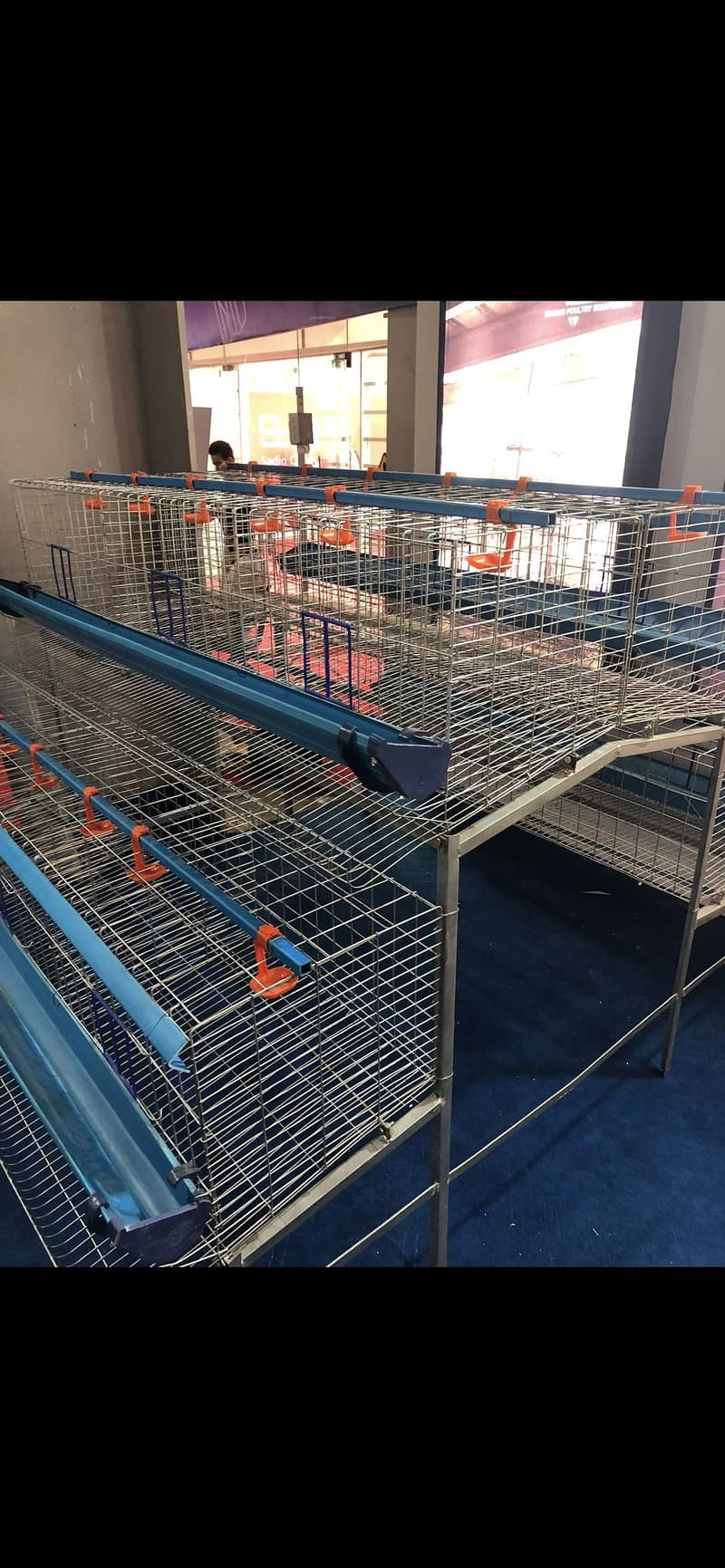 Layer Hen cage 0