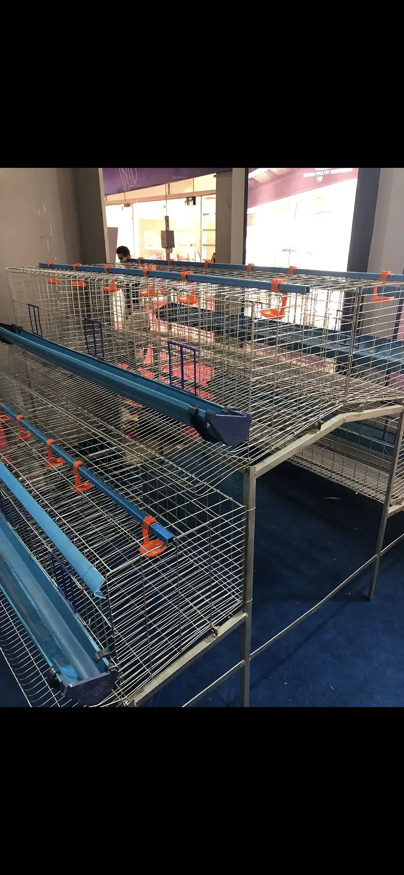 Layer Hen cage