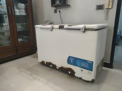 Hair Deep Freezer Two Door