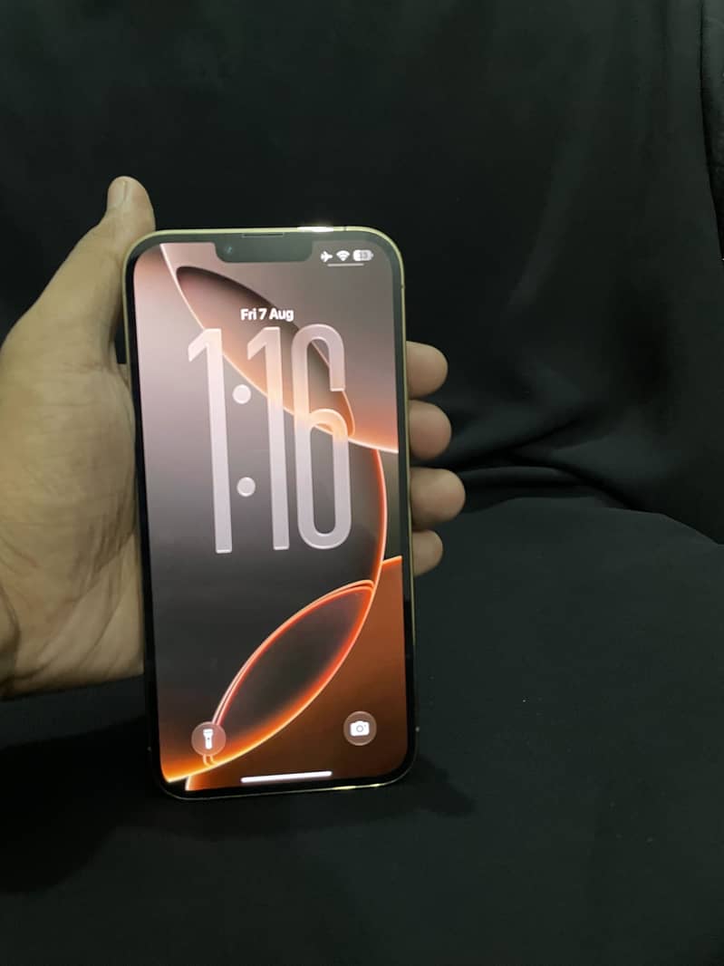 iPhone 13 Pro Max 1