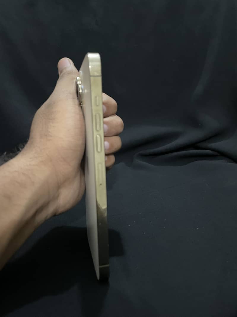 iPhone 13 Pro Max 2