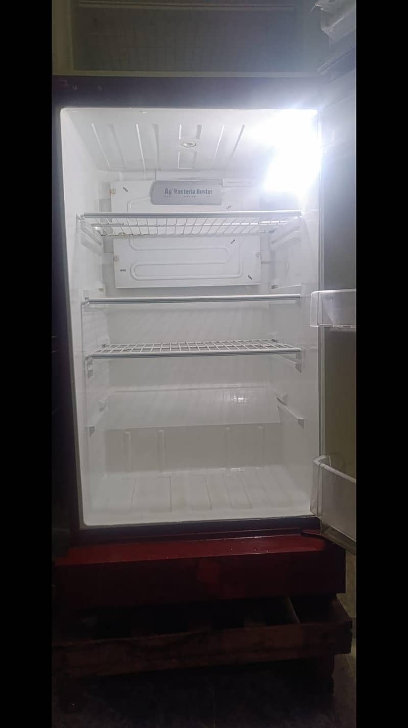 medium size fridge 4