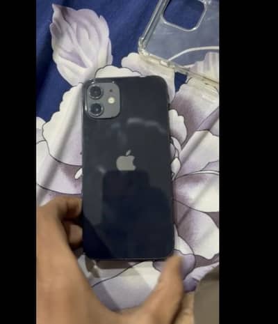 Apple iPhone 12