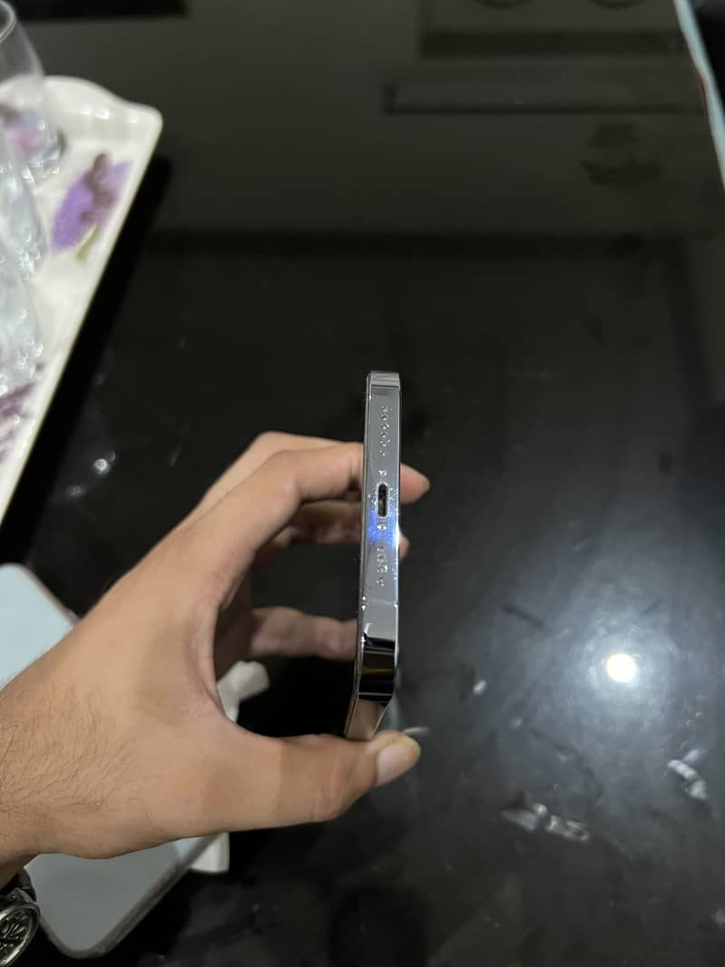 Apple iPhone 13 Pro Max 1