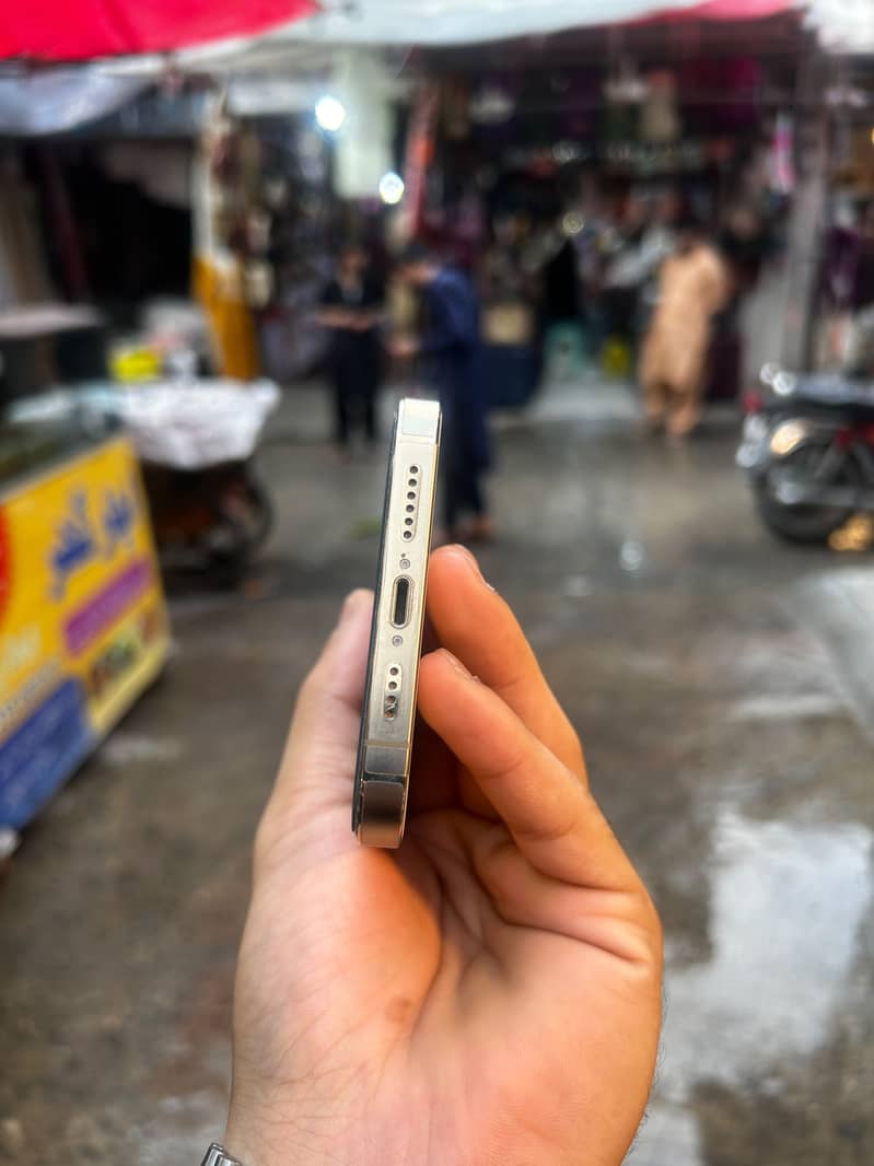 Apple iPhone 13 Pro Max 1