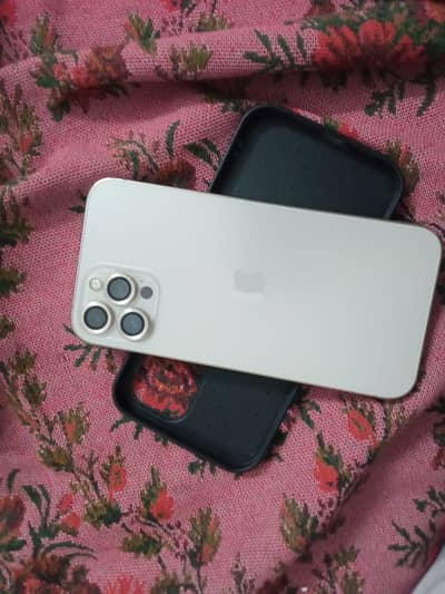 Apple iPhone 12 Pro Max