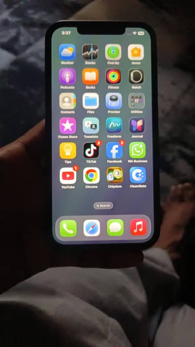 Apple iPhone 12 Pro Max
