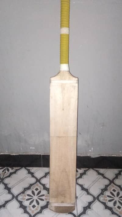 coconut bat